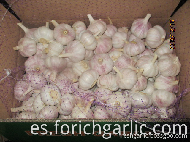 How Should I Store Fresh Garlic